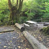 Review photo of Potlatch State Park Campground by Colleen T., September 30, 2017