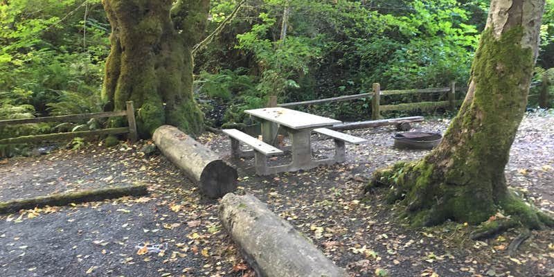 Camper submitted image from Potlatch State Park Campground