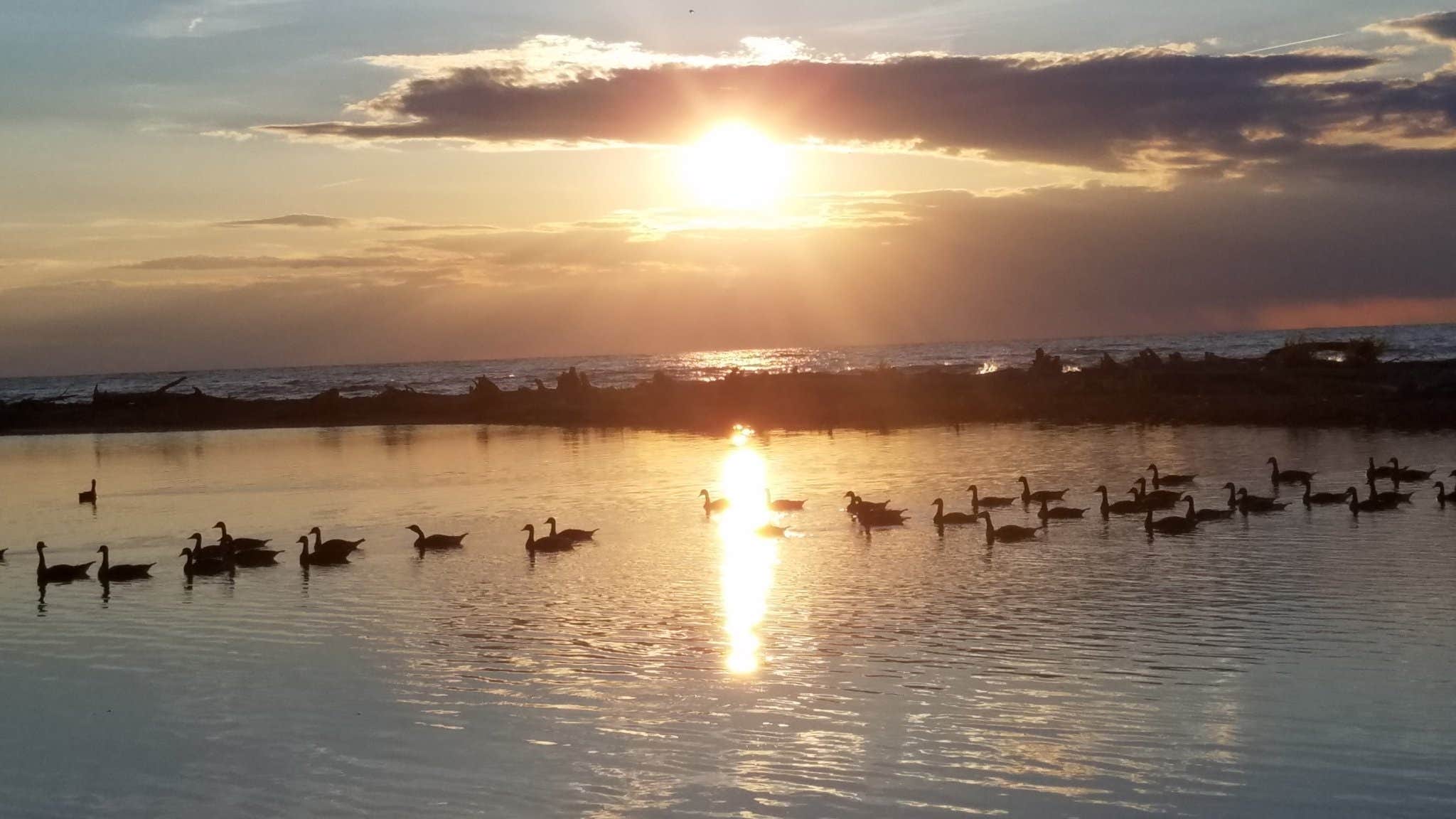 Camper submitted image from Virginia's Beach Campground - 4