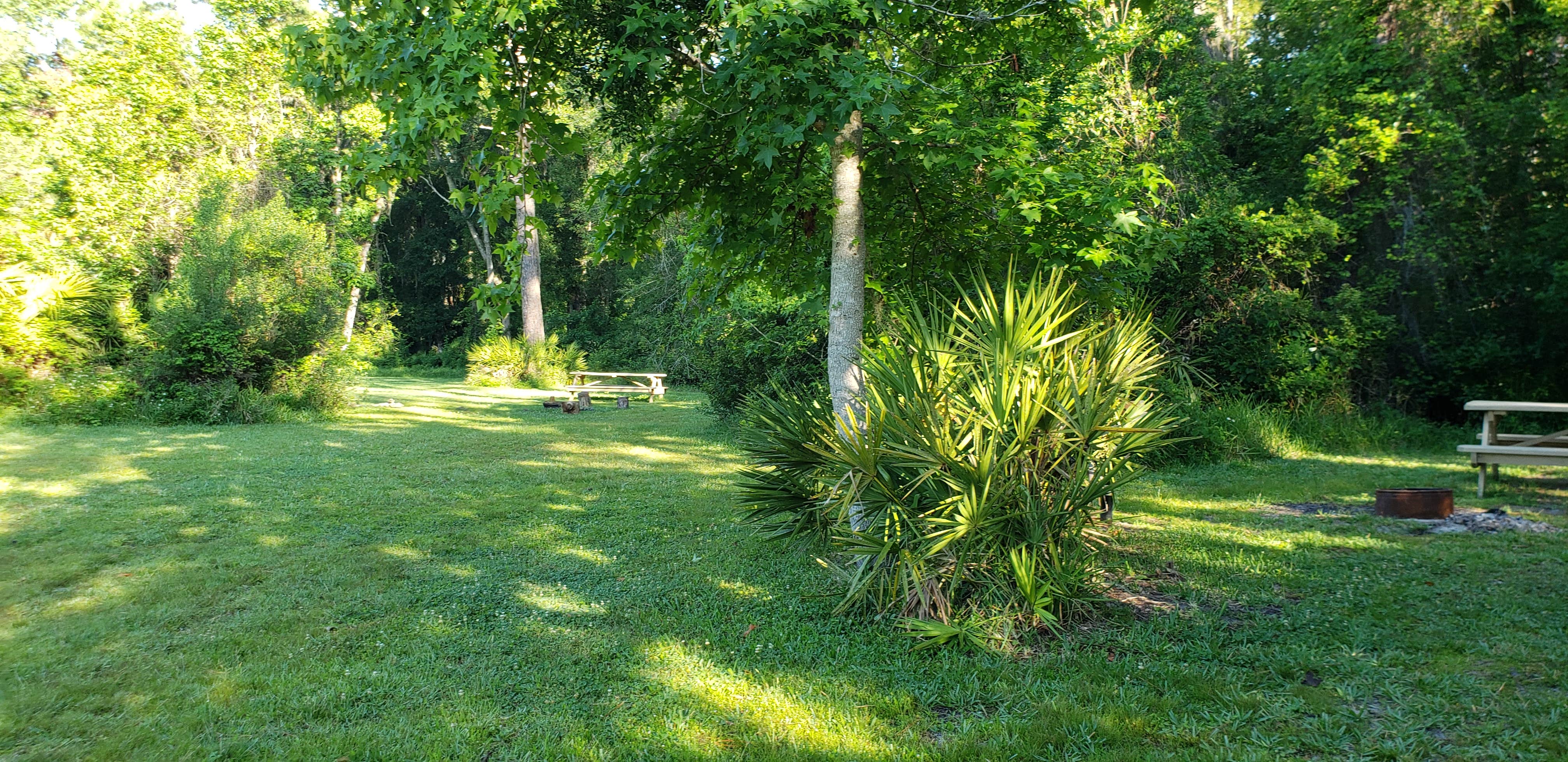 Camper-submitted photo at Highland Park Fish Camp near Lake Helen, FL