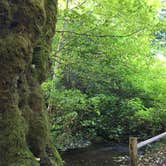 Review photo of Potlatch State Park Campground by Colleen T., September 30, 2017