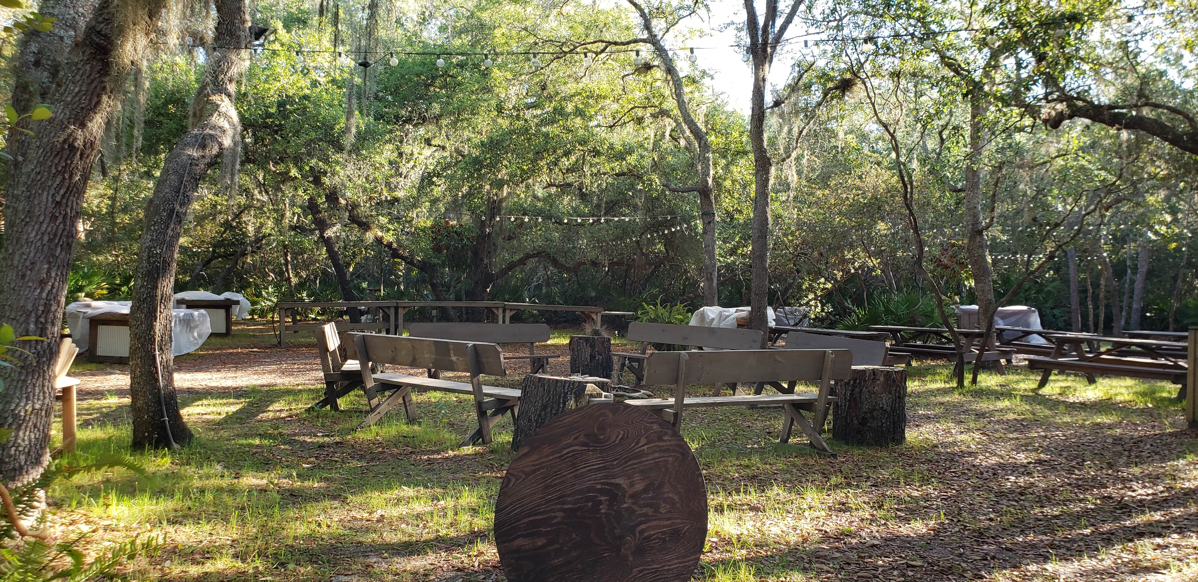 Camper-submitted photo at Highland Park Fish Camp near Sorrento, FL