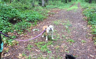 chad H.'s photo of camping with pets at Mistletoe State Park Campground near Grovetown, GA