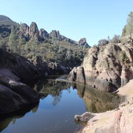 Public Campgrounds: Pinnacles Campground — Pinnacles National Park