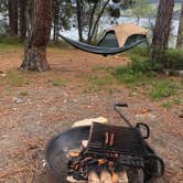 Review photo of Big Arm State Unit — Flathead Lake State Park by Jed D., May 22, 2020