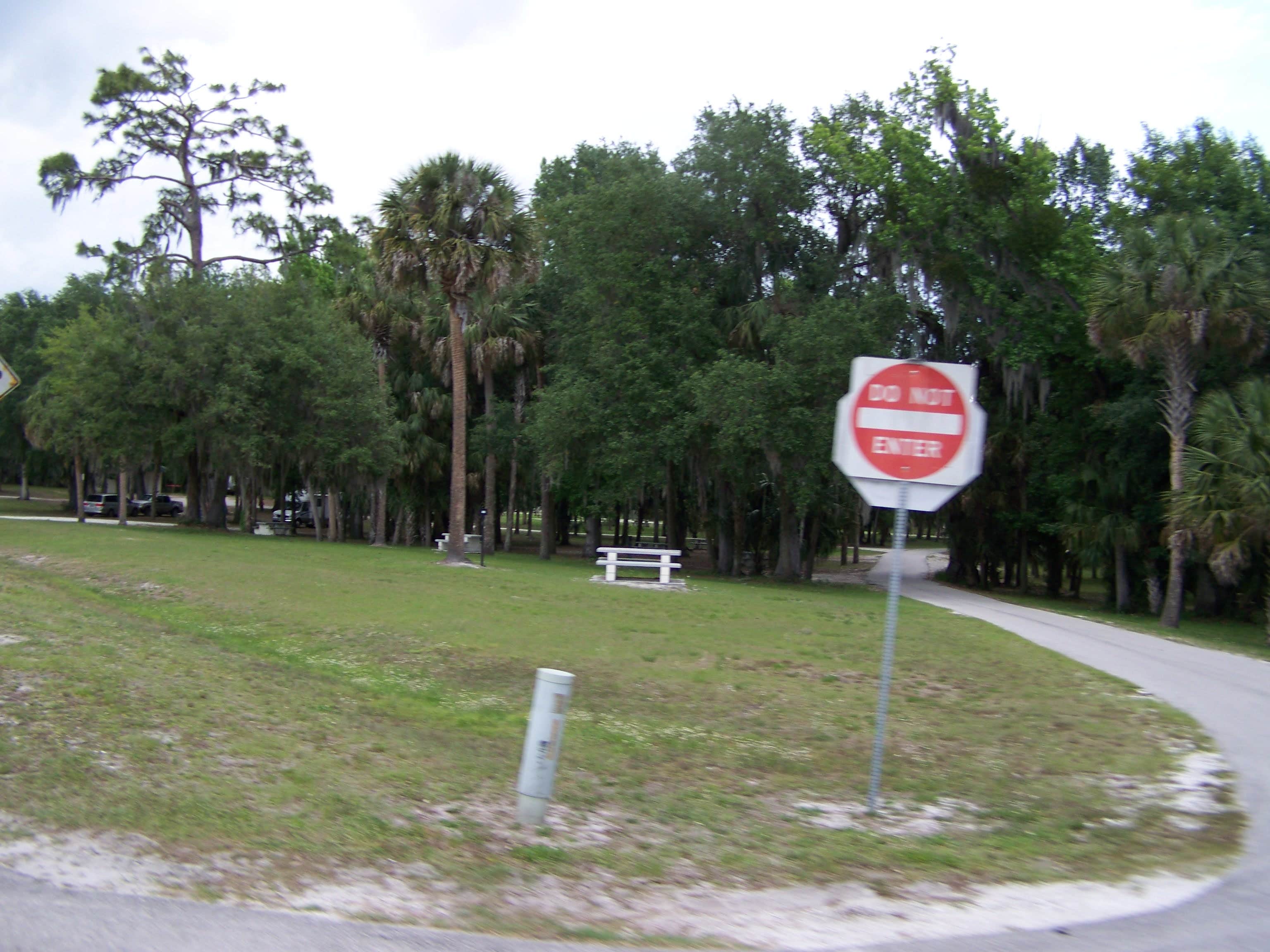 Camper submitted image from Pioneer Park - 3