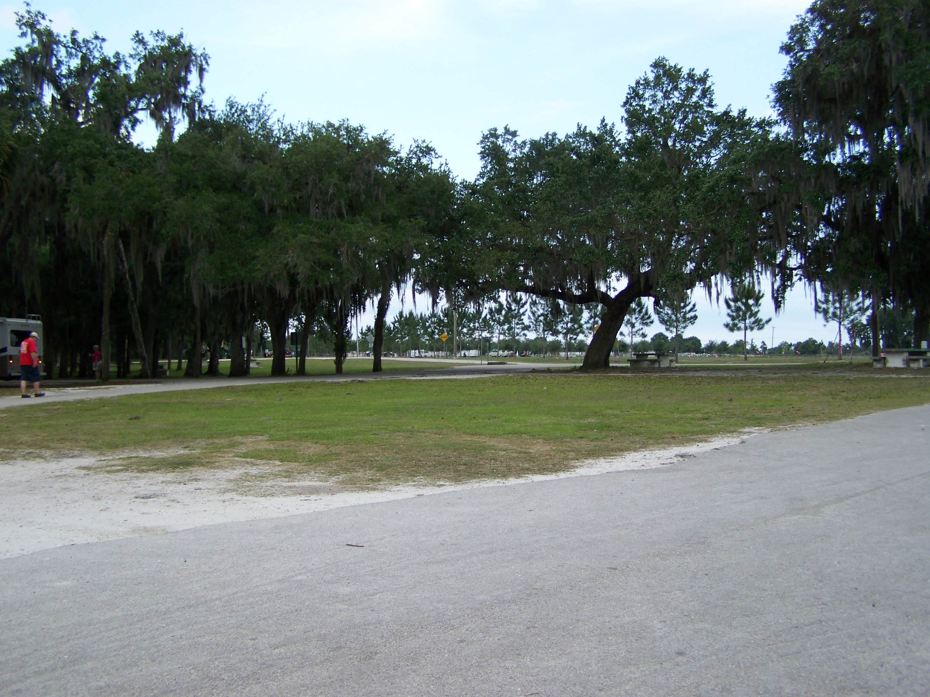 Pioneer Park Camping Zolfo Springs, FL