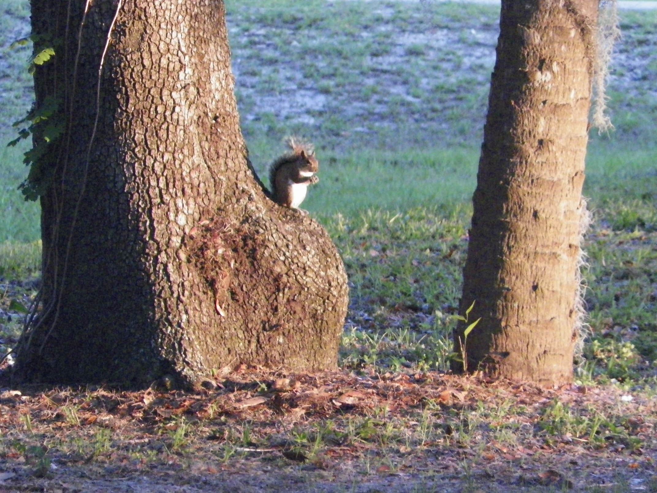 Camper-submitted photo at Pioneer Park near Bowling Green, FL