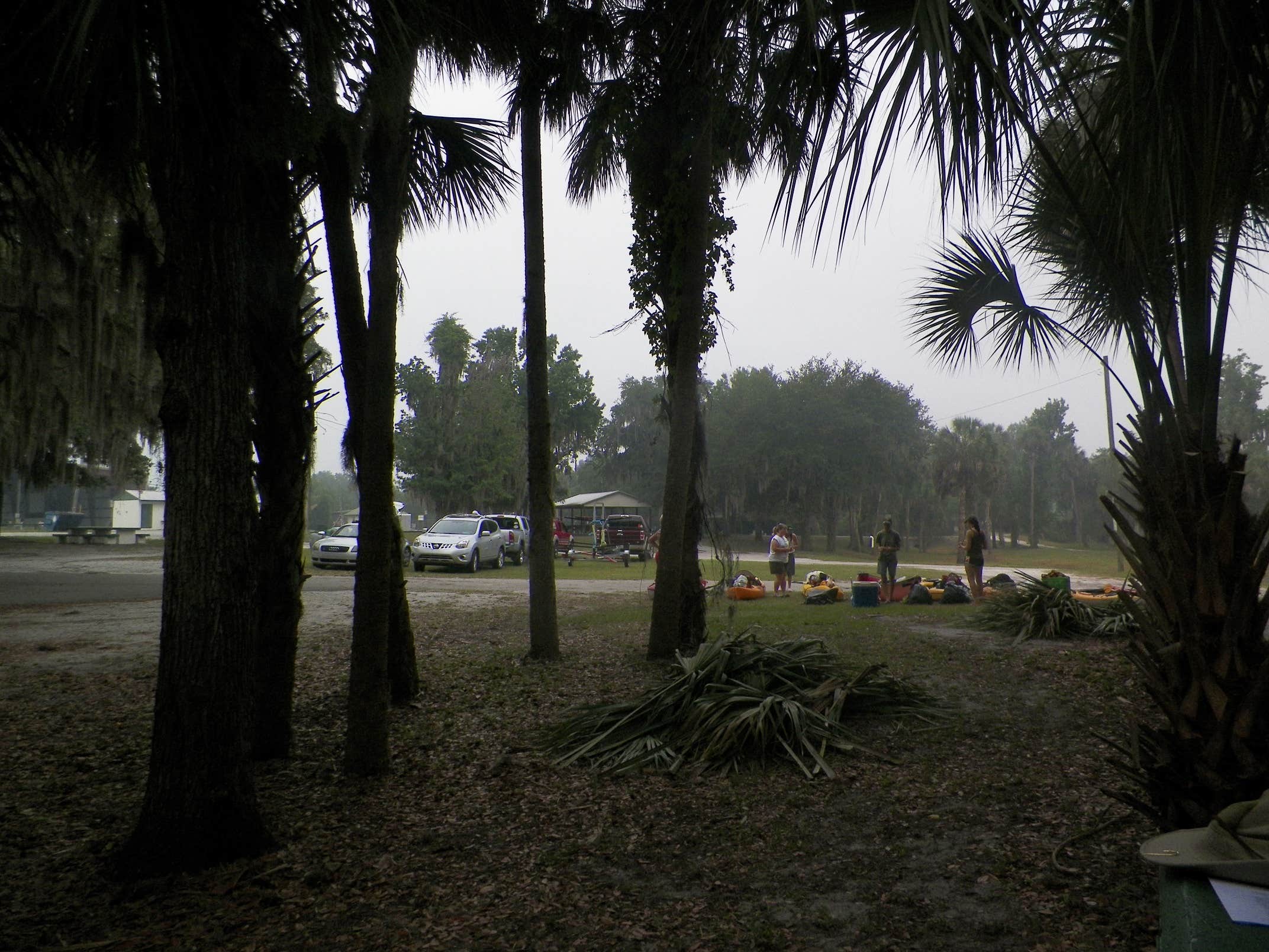 Camper-submitted photo at Pioneer Park near Bowling Green, FL