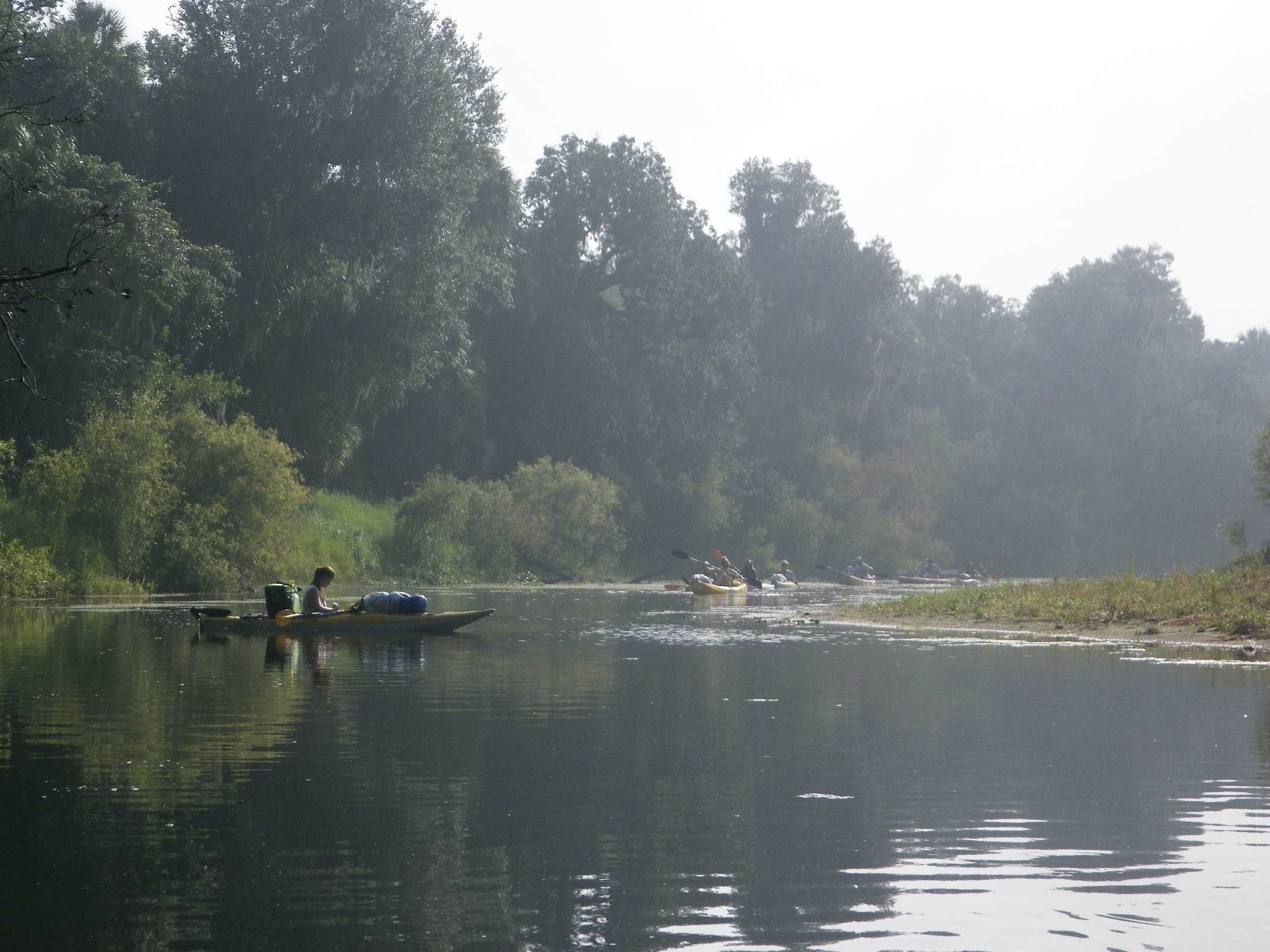 Camper-submitted photo at Pioneer Park near Bowling Green, FL
