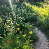 Review photo of Point Supreme Campground — Cedar Breaks National Monument by Marisa P., April 29, 2020