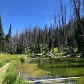 Review photo of Point Supreme Campground — Cedar Breaks National Monument by Marisa P., April 29, 2020