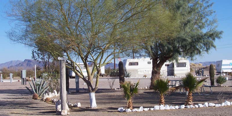 Camper submitted image from 3 Dreamers RV Park