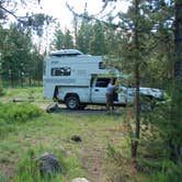 Review photo of Tower Fall Campground — Yellowstone National Park by Dawn G., May 23, 2020