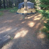 Review photo of Bridge Bay Campground — Yellowstone National Park by Sarah N., May 23, 2020