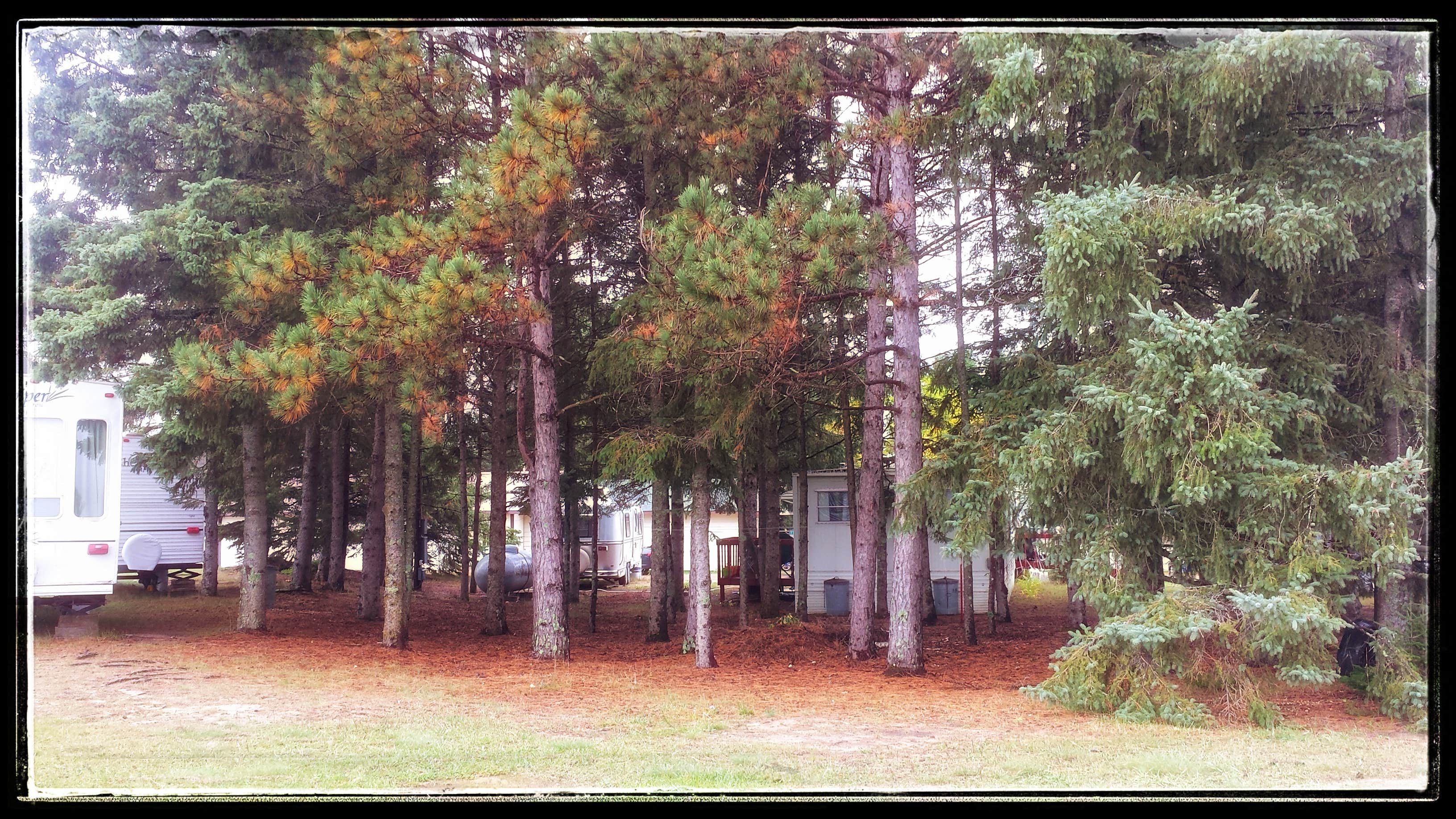 Camper submitted image from Crow Wing Inn Motel and RV Park - 3