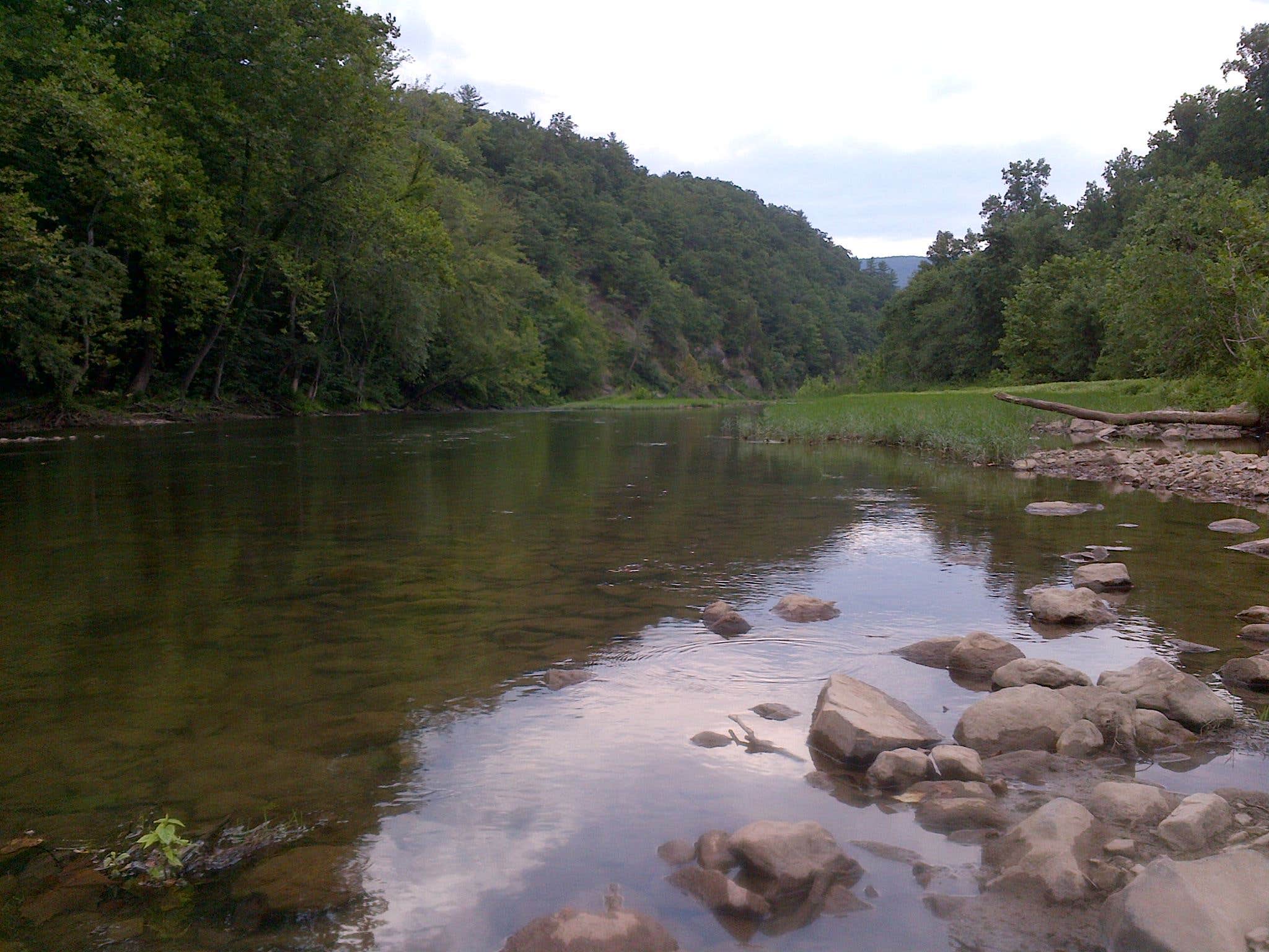 Camper submitted image from Stoney Creek Campground - 3