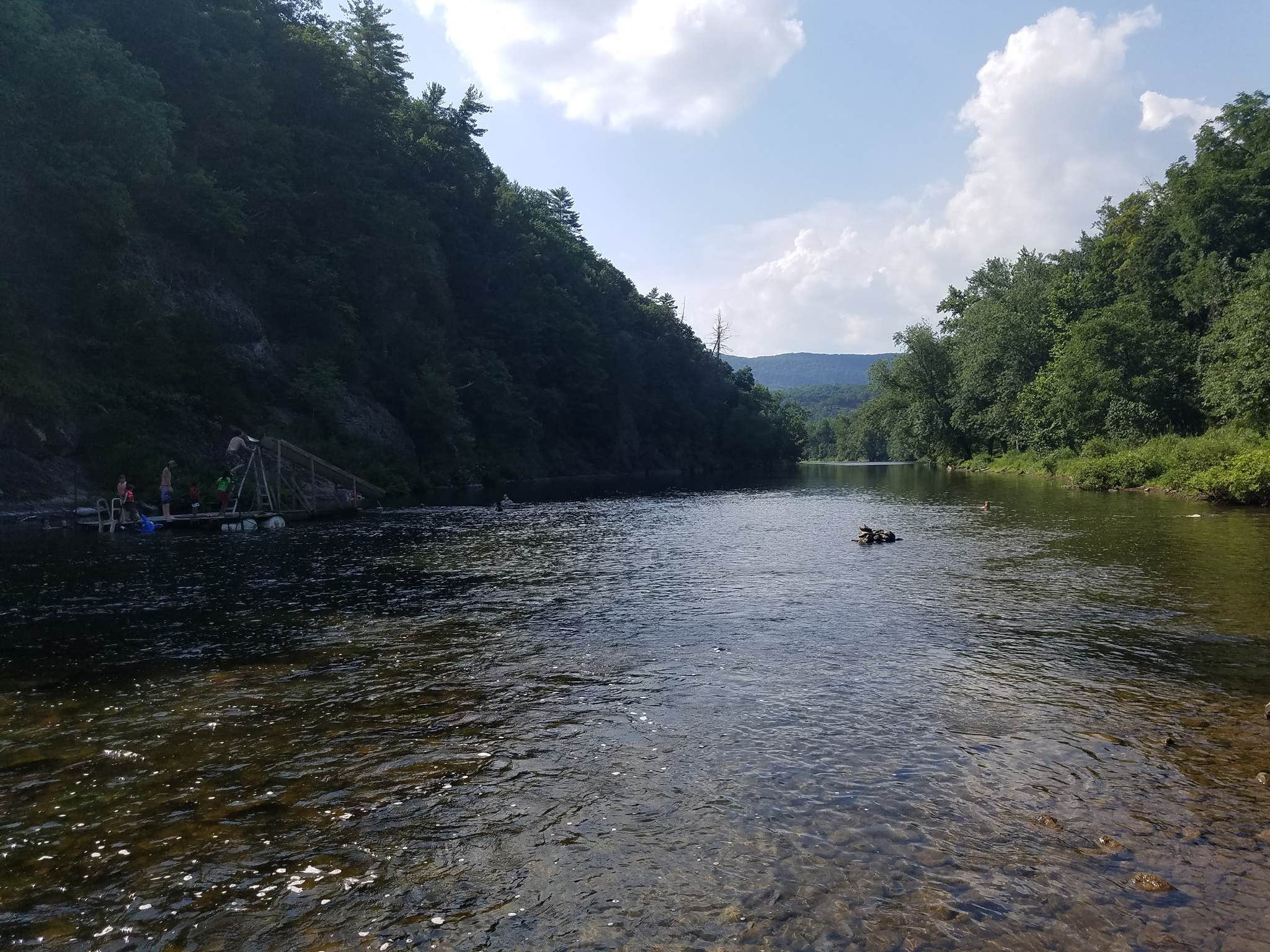 Camper submitted image from Stoney Creek Campground - 5