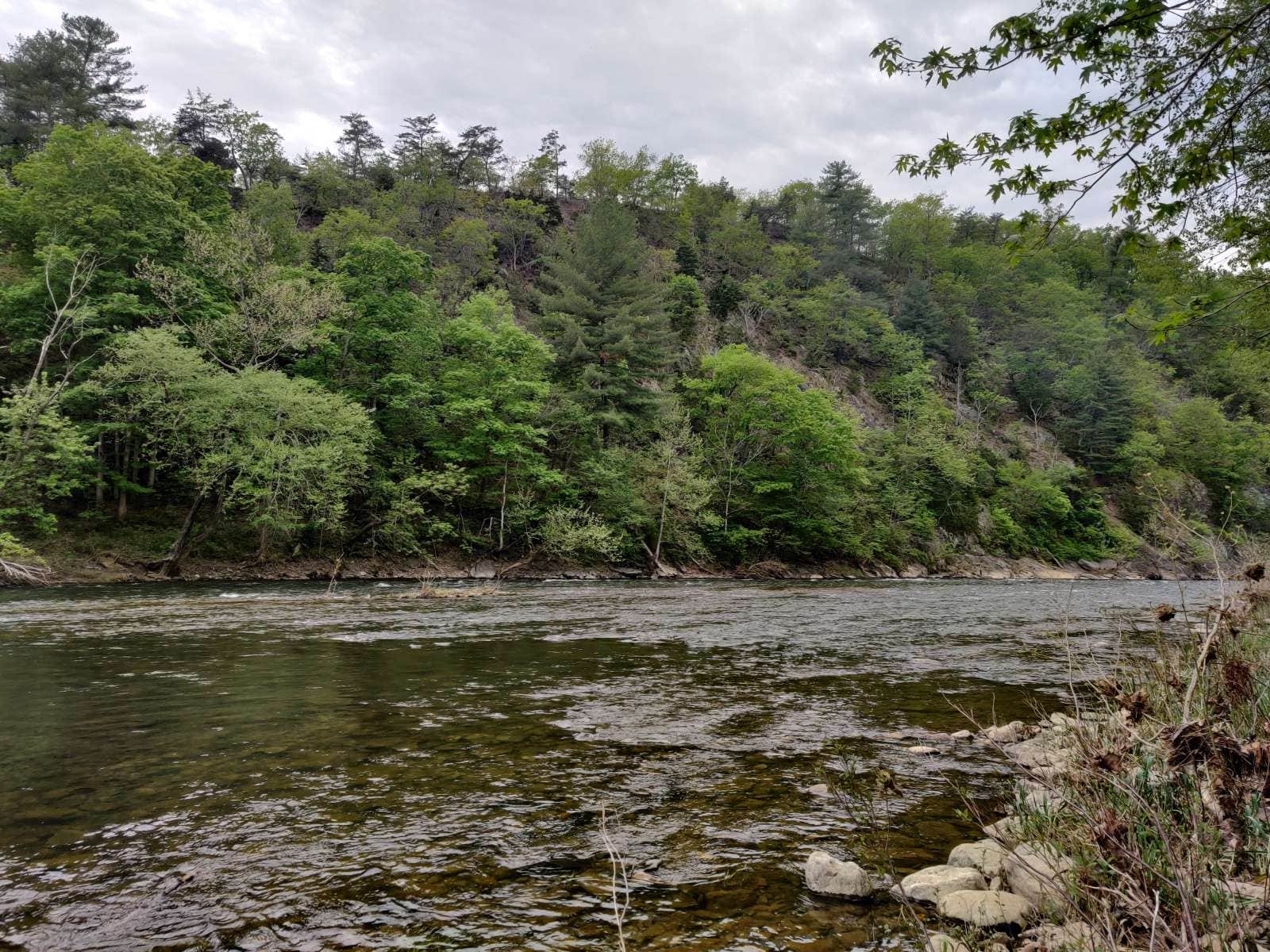 Camper submitted image from Stoney Creek Campground - 1