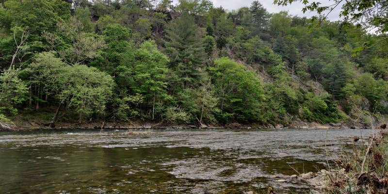 Camper submitted image from Stoney Creek Campground