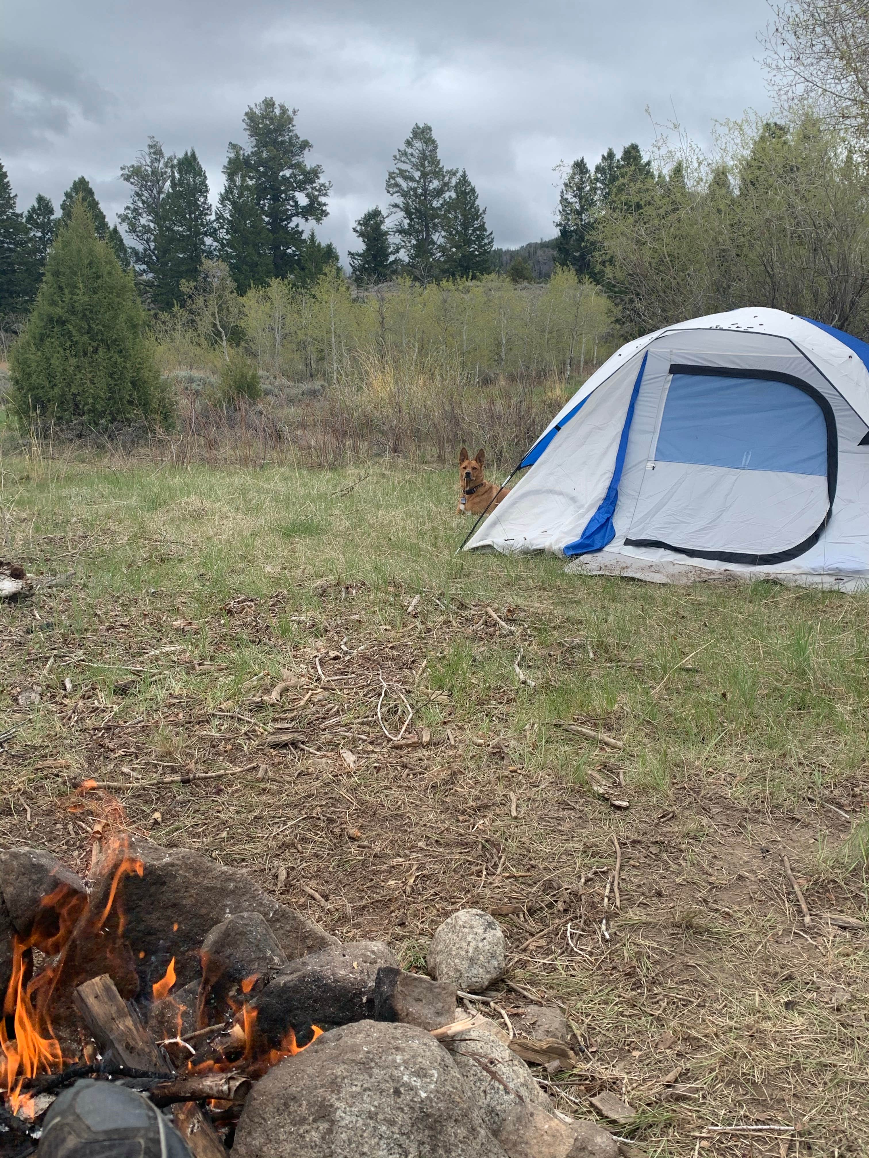 Chris S.'s photo at Boulder Lake near Big Piney, WY