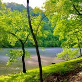 Review photo of Bull Shoals-White River State Park by Donny S., May 8, 2020