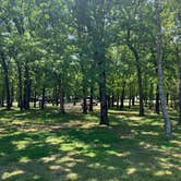 Review photo of Natural Falls State Park Campground by Donny S., May 23, 2020