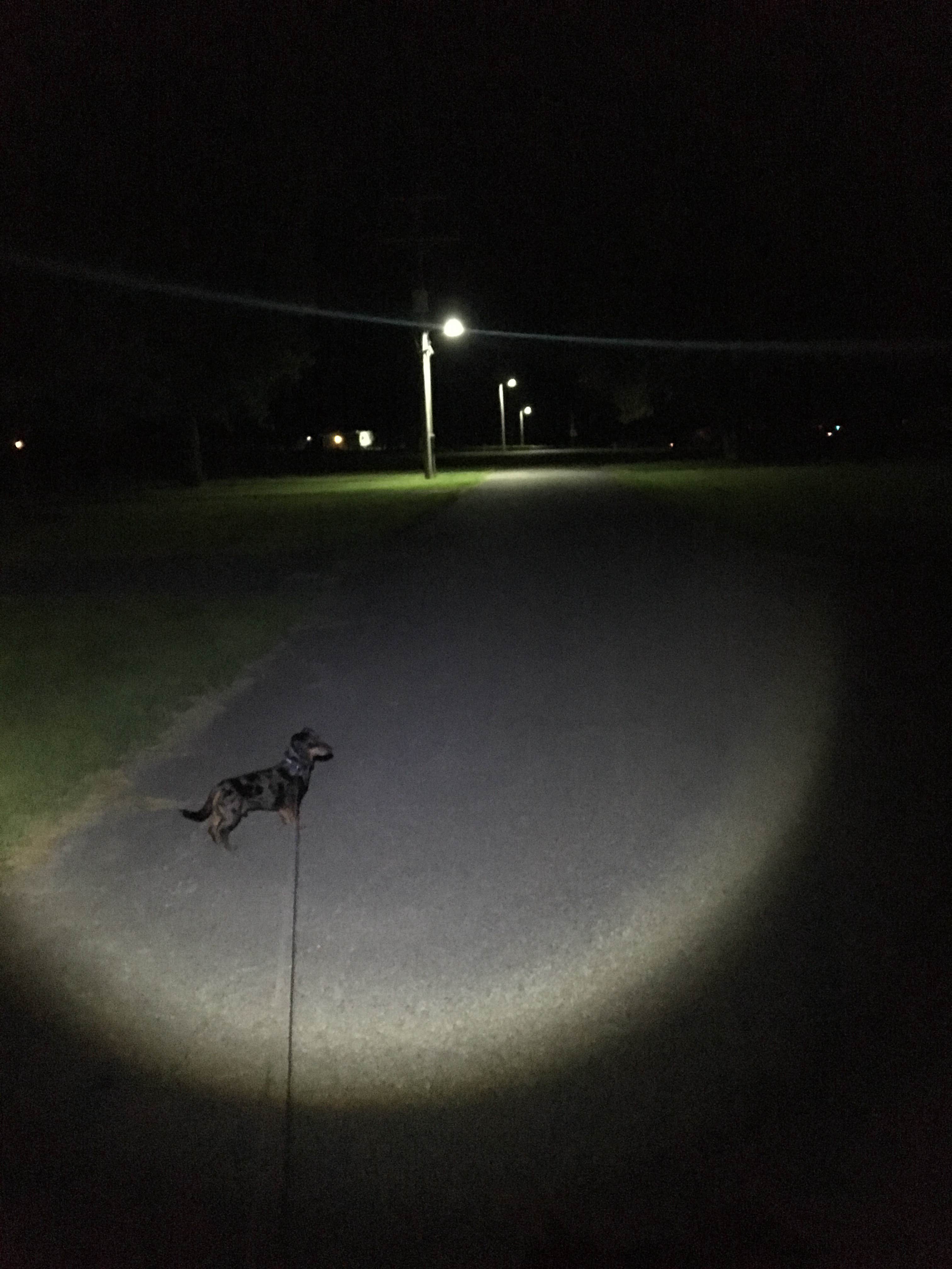 Camper-submitted photo at Lamar Dixon Expo Center near Lockport, LA