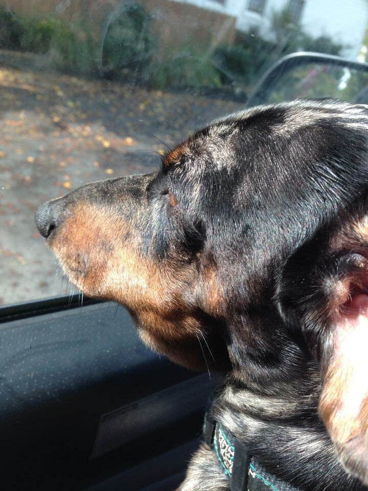 Camper-submitted photo at Lamar Dixon Expo Center near Lockport, LA