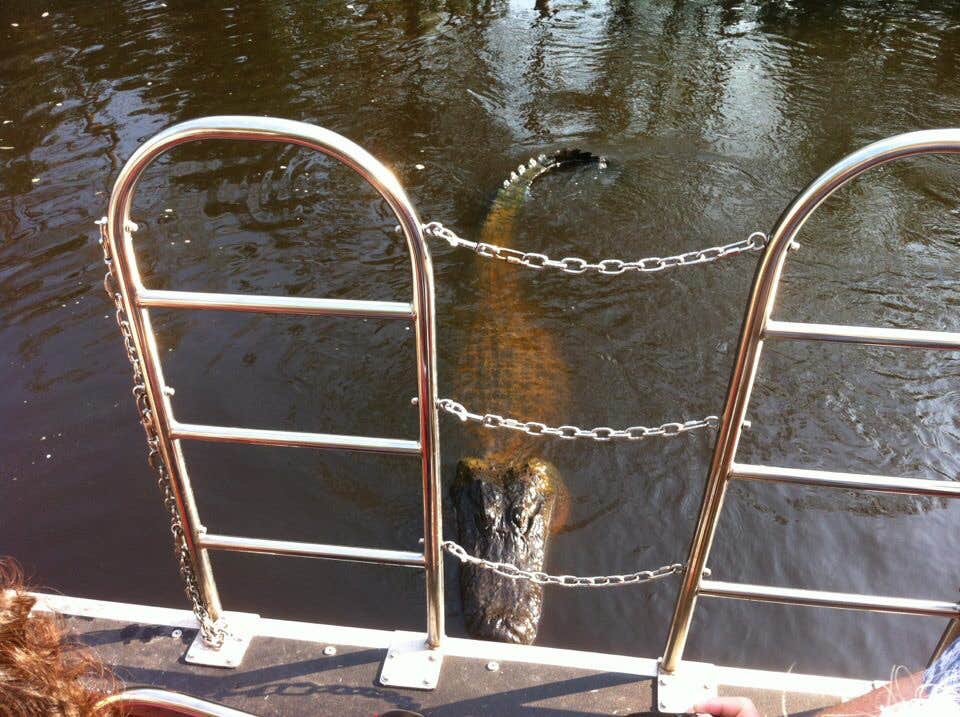 Camper-submitted photo at Lamar Dixon Expo Center near Lockport, LA