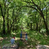 Review photo of Sequoyah Bay Marina and Cabins — Sequoyah Bay State Park by Donny S., May 7, 2020