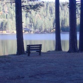 Review photo of Sequoia National Forest Hume Lake Campground by Darrin L., June 30, 2016