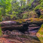 Review photo of Elk Prairie Campground — Prairie Creek Redwoods State Park by Daniel N., September 30, 2017