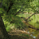 Review photo of Tishomingo State Park Campground by Lynn G., September 30, 2017