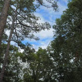 Review photo of Tishomingo State Park Campground by Lynn G., September 30, 2017