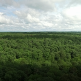 Review photo of Tishomingo State Park Campground by Lynn G., September 30, 2017