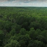 Review photo of Tishomingo State Park Campground by Lynn G., September 30, 2017