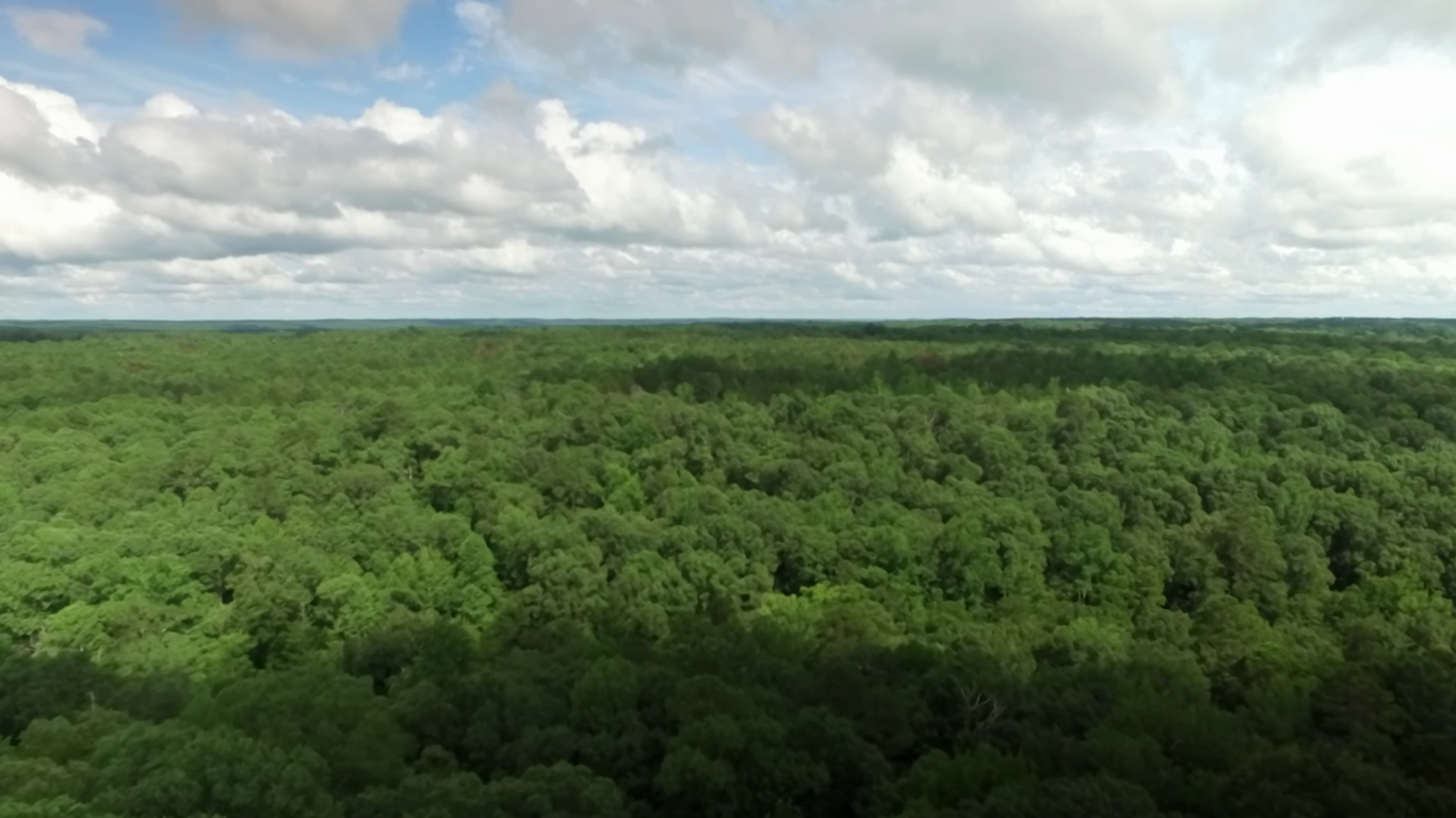 Camper-submitted photo at Jeff Busby Campground, Milepost 193.1 — Natchez Trace Parkway near Louisville, MS
