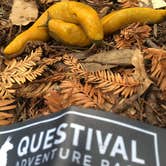 Review photo of Ben Ries Campground — Butano State Park - CLOSED INDEFINITELY by Katherine R., September 30, 2017