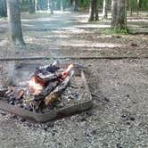 Review photo of Cosby Campground — Great Smoky Mountains National Park by Lynn G., September 30, 2017