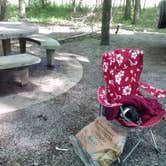 Review photo of Cosby Campground — Great Smoky Mountains National Park by Lynn G., September 30, 2017