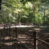 Review photo of Levi Jackson Wilderness State Park Campground by Lynn G., September 30, 2017