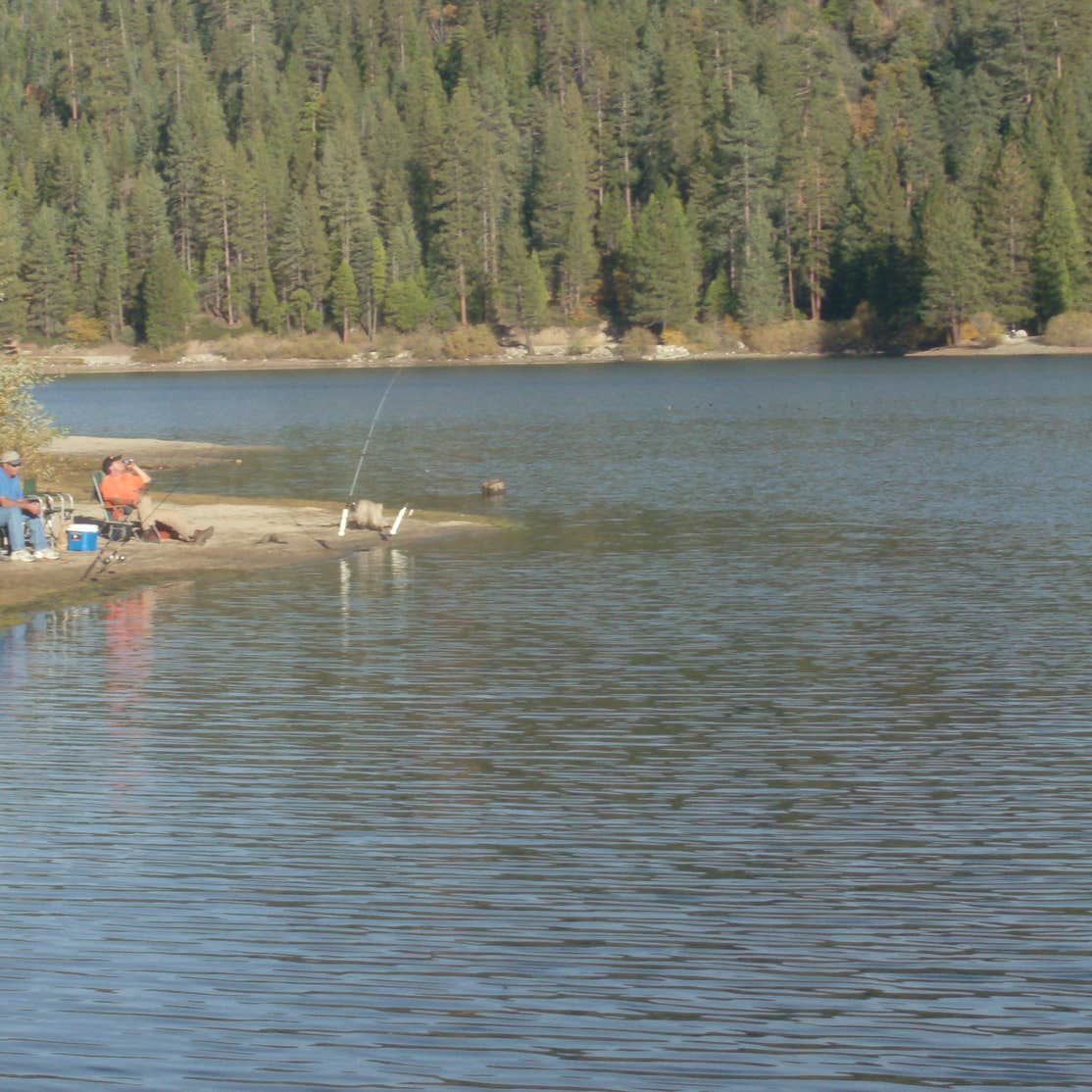 Hume Lake Camping The Dyrt