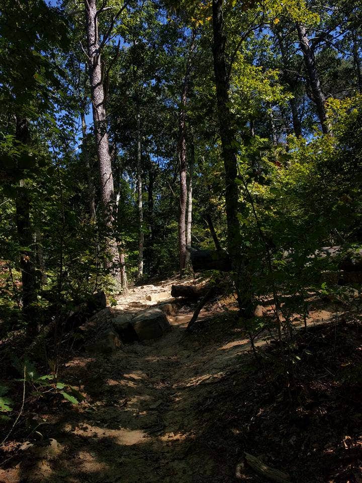 Camper submitted image from Levi Jackson Wilderness State Park Campground - 3