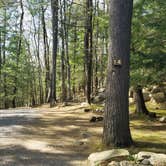 Review photo of King Phillip's Campground by Nancy W., May 23, 2020