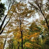 Review photo of Pickwick Landing State Park Campground by Lynn G., September 30, 2017