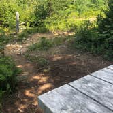 Review photo of Schoodic Woods Campground — Acadia National Park by Amanda G., May 23, 2020