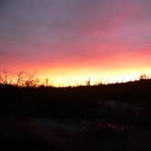 Review photo of Catalina State Park Campground by Amber A., June 30, 2016