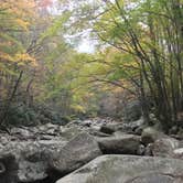 Review photo of Pickwick Landing State Park Campground by Lynn G., September 30, 2017