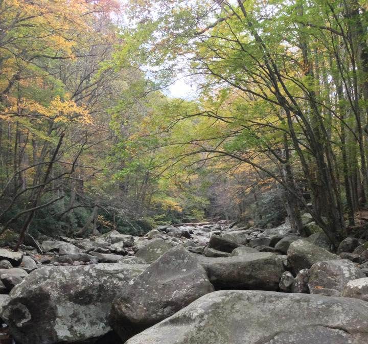 Camper submitted image from Pickwick Landing State Park Campground - 3